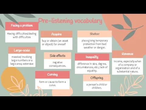 Pre-listening vocabulary