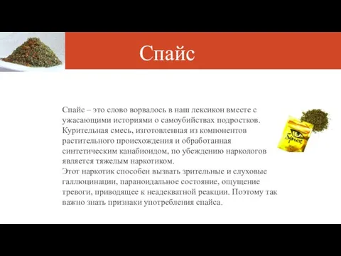 Спайс Спайс – это слово ворвалось в наш лексикон вместе с ужасающими