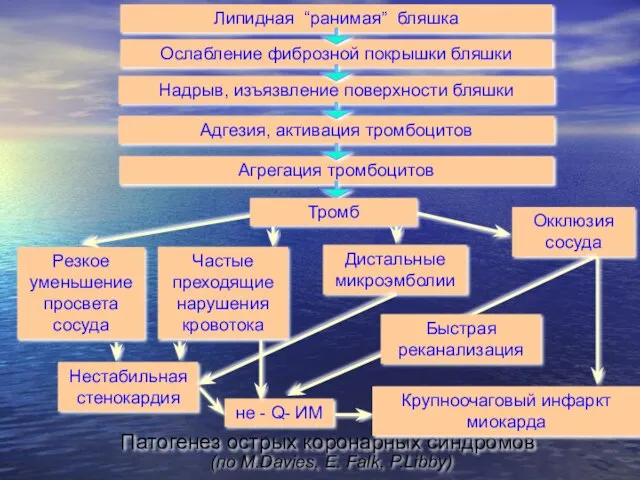 Липидная “ранимая” бляшка Ослабление фиброзной покрышки бляшки Агрегация тромбоцитов Резкое уменьшение просвета