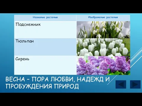 ВЕСНА – ПОРА ЛЮБВИ, НАДЕЖД И ПРОБУЖДЕНИЯ ПРИРОД