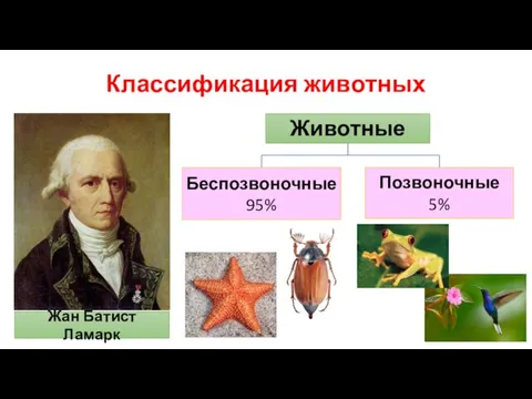 Классификация животных Жан Батист Ламарк