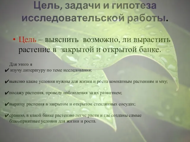 Цель, задачи и гипотеза исследовательской работы. Цель – выяснить возможно, ли вырастить