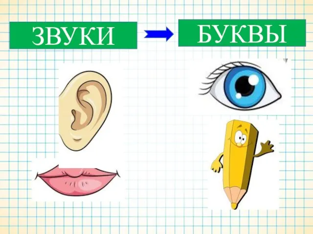 ЗВУКИ БУКВЫ