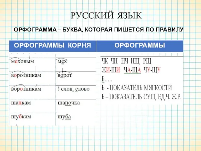 РУССКИЙ ЯЗЫК ОРФОГРАММА – БУКВА, КОТОРАЯ ПИШЕТСЯ ПО ПРАВИЛУ