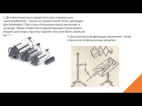 3. Для фиксации крыс предложен ряд специальных приспособлений – гильзы из проволочной