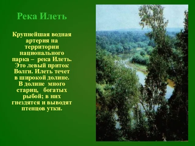 Река Илеть Крупнейшая водная артерия на территории национального парка – река Илеть.