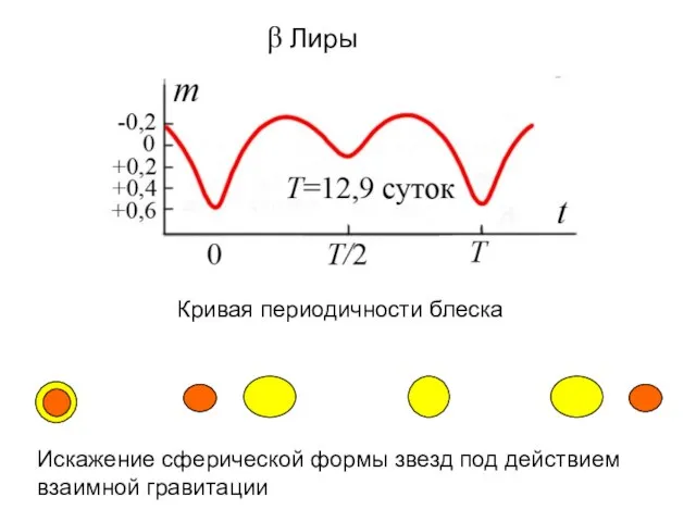 Искажение сферической формы звезд под действием взаимной гравитации β Лиры Кривая периодичности блеска