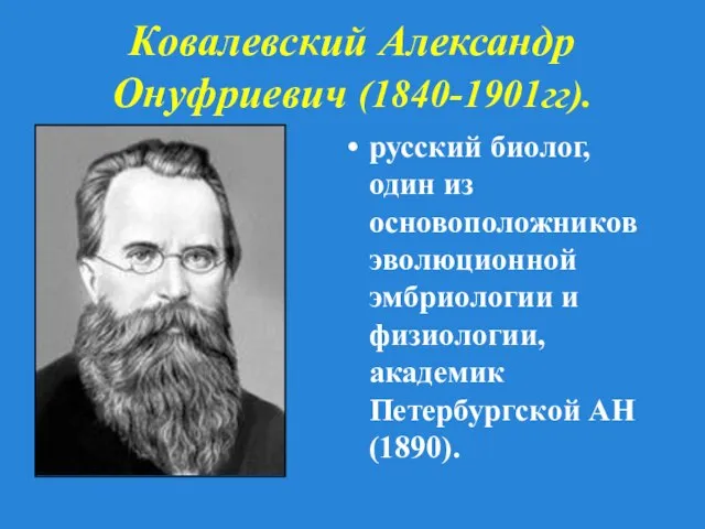 Ковалевский Александр Онуфриевич (1840-1901гг). русский биолог, один из основоположников эволюционной эмбриологии и