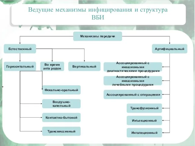 Актуальные вопросы эпидемиологии внутрибольничных инфекций Ведущие механизмы инфицирования и структура ВБИ Механизмы