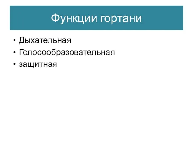 Функции гортани Дыхательная Голосообразовательная защитная