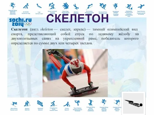 Cкелетон (англ. skeleton — скелет, каркас) — зимний олимпийский вид спорта, представляющий