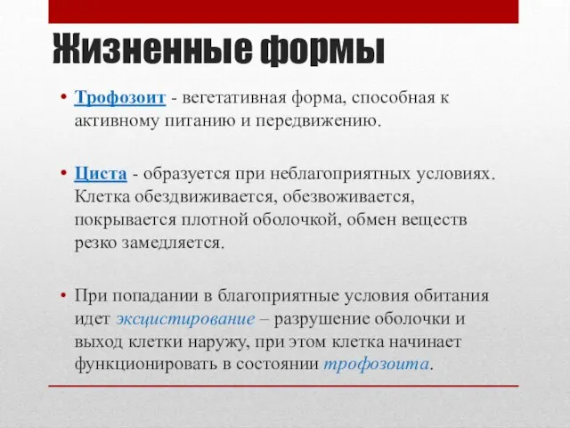 Жизненные формы Трофозоит - вегетативная форма, способная к активному питанию и передвижению.