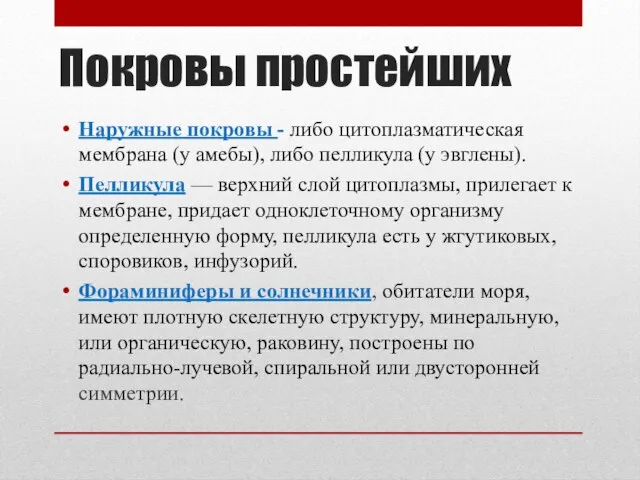 Покровы простейших Наружные покровы - либо цитоплазматическая мембрана (у амебы), либо пелликула