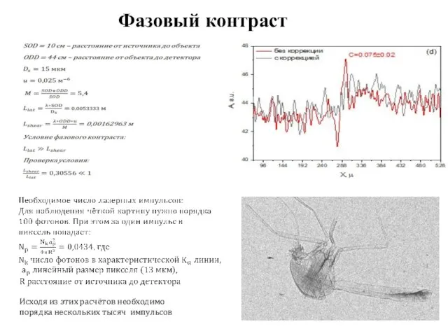 Фазовый контраст Исходя из этих расчётов необходимо порядка нескольких тысяч импульсов