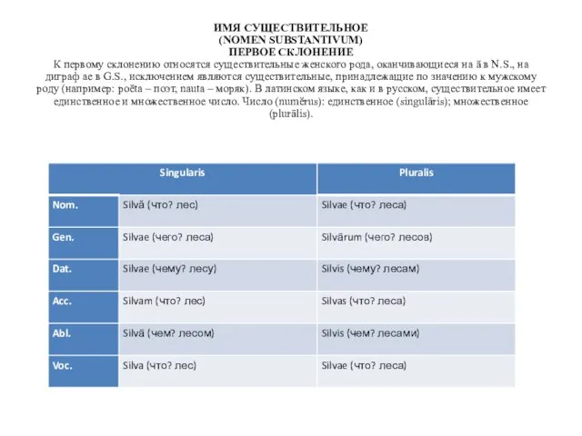 ИМЯ СУЩЕСТВИТЕЛЬНОЕ (NOMEN SUBSTANTIVUM) ПЕРВОЕ СКЛОНЕНИЕ К первому склонению относятся существительные женского