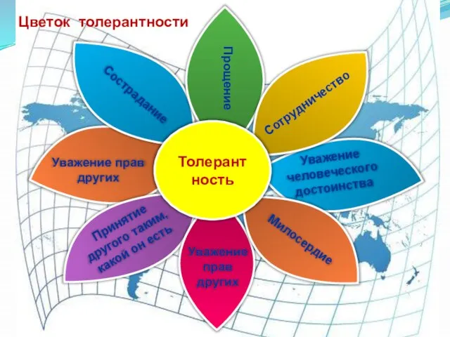 Сотрудничество Прощение Цветок толерантности