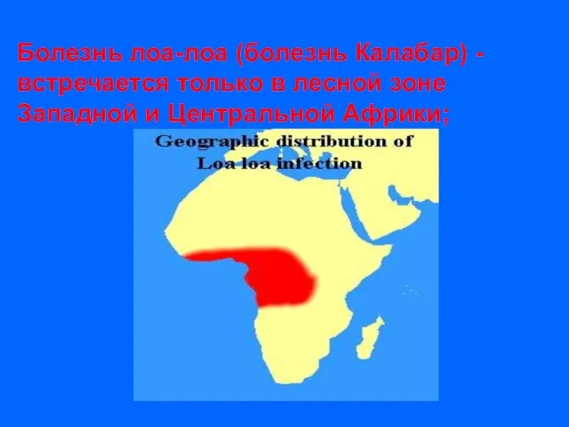 Болезнь лоа-лоа (болезнь Калабар) - встречается только в лесной зоне Западной и Центральной Африки;
