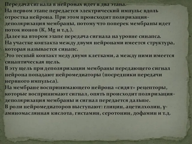 Передача сигнала в нейронах идет в два этапа. На первом этапе передается