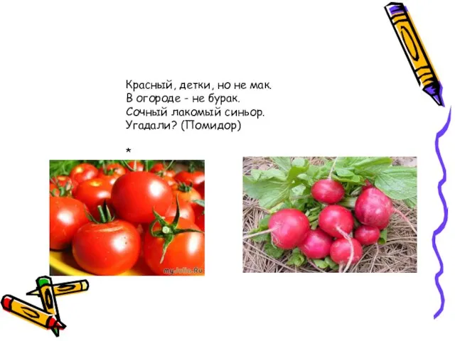 Красный, детки, но не мак. В огороде - не бурак. Сочный лакомый синьор. Угадали? (Помидор) *