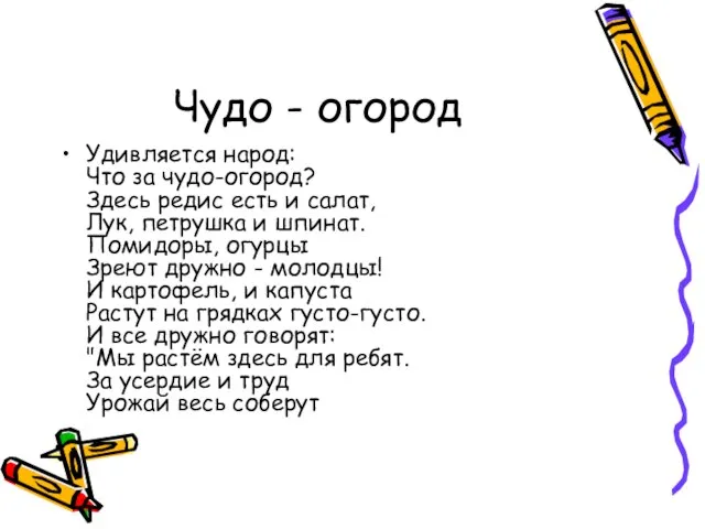 Чудо - огород Удивляется народ: Что за чудо-огород? Здесь редис есть и