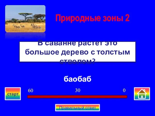 баобаб В саванне растет это большое дерево с толстым стволом? Природные зоны