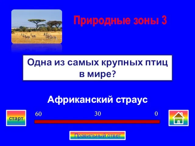 Африканский страус Одна из самых крупных птиц в мире? Природные зоны 3