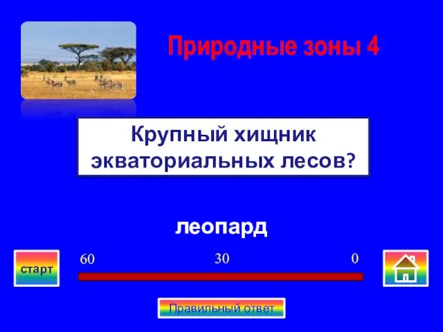 леопард Крупный хищник экваториальных лесов? Природные зоны 4 0 30 60 старт Правильный ответ