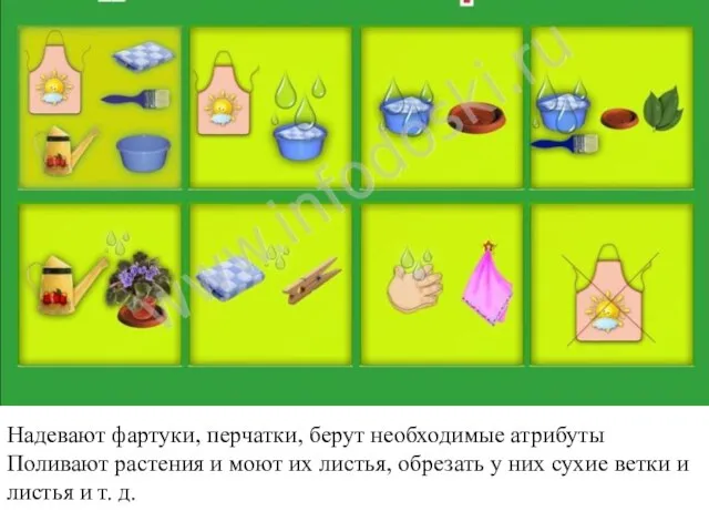 Надевают фартуки, перчатки, берут необходимые атрибуты Поливают растения и моют их листья,