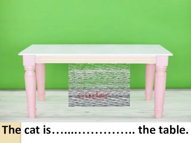 under The cat is…....………….. the table. under
