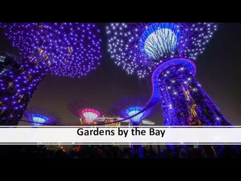 Gardens by the Bay