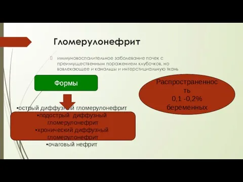 Гломерулонефрит иммуновоспалительное заболевание почек с преимущественным поражением клубочков, но вовлекающее и канальцы