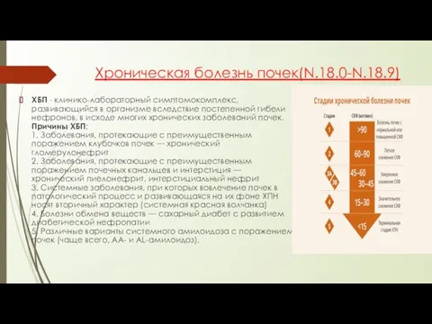 Хроническая болезнь почек(N.18.0-N.18.9) ХБП - клинико-лабораторный симптомокомплекс, развивающийся в организме вследствие постепенной