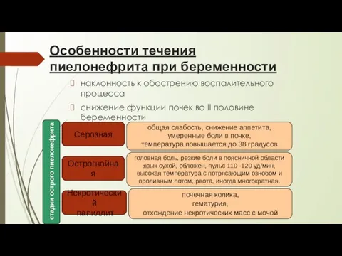 Особенности течения пиелонефрита при беременности наклонность к обострению воспалительного процесса снижение функции