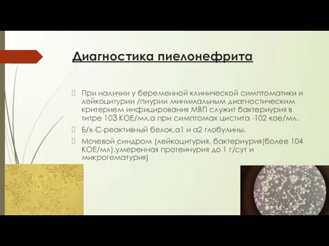 Диагностика пиелонефрита При наличии у беременной клинической симптоматики и лейкоцитурии /пиурии минимальным