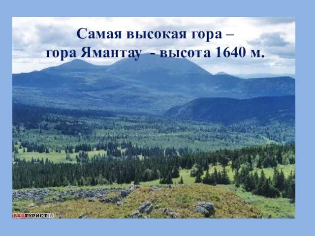 Самая высокая гора – гора Ямантау - высота 1640 м.