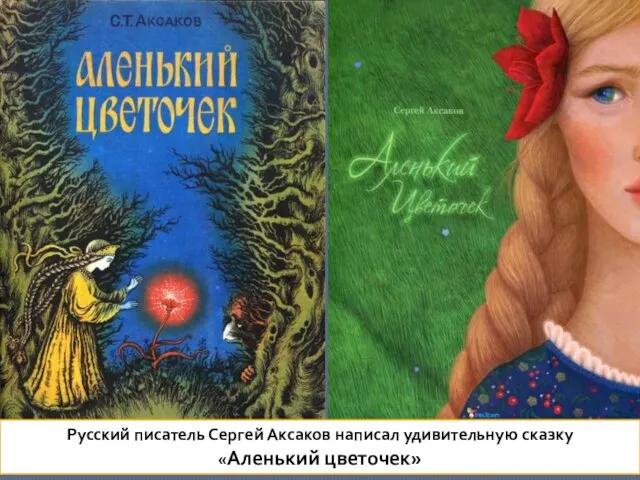 Русский писатель Сергей Аксаков написал удивительную сказку «Аленький цветочек»