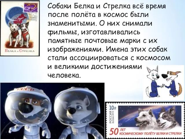 Собаки Белка и Стрелка всё время после полёта в космос были знаменитыми.