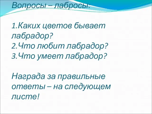 Вопросы – лабросы: 1.Каких цветов бывает лабрадор? 2.Что любит лабрадор? 3.Что умеет