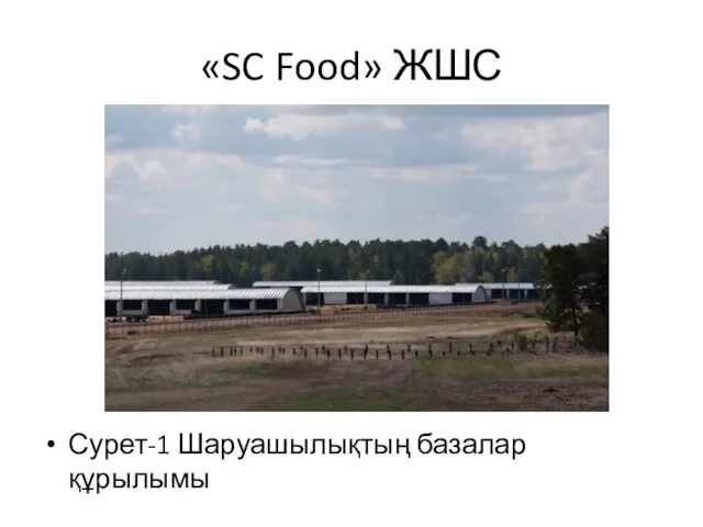 «SC Food» ЖШС Сурет-1 Шаруашылықтың базалар құрылымы