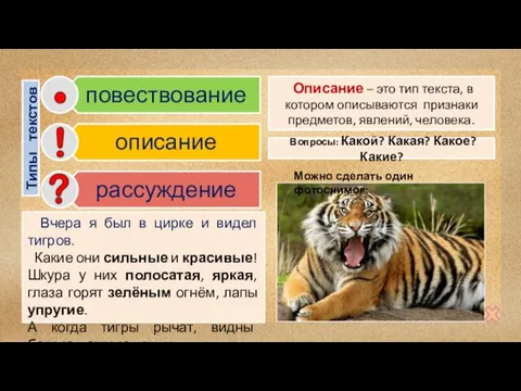 Вчера я был в цирке и видел тигров. Какие они сильные и