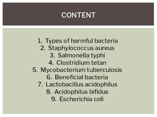 CONTENT Types of harmful bacteria Staphylococcus aureus Salmonella typhi Clostridium tetan Mycobacterium