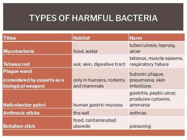 TYPES OF HARMFUL BACTERIA