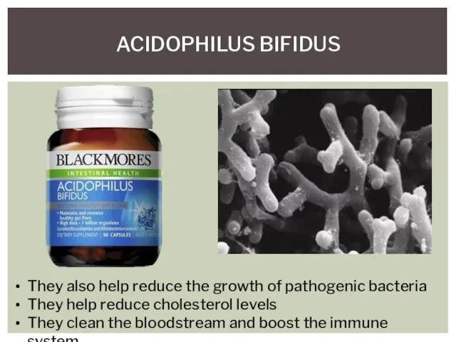 ACIDOPHILUS BIFIDUS They also help reduce the growth of pathogenic bacteria They