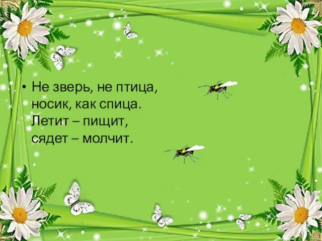 Не зверь, не птица, носик, как спица. Летит – пищит, сядет – молчит.