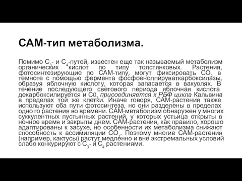 САМ-тип метаболизма. Помимо С3- и С4-путей, известен еще так называемый метаболизм органических