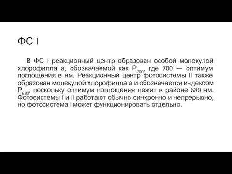 ФС I В ФС I реакционный центр образован особой молекулой хлорофилла а,