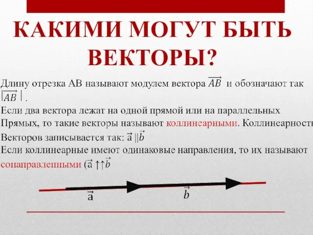 КАКИМИ МОГУТ БЫТЬ ВЕКТОРЫ?