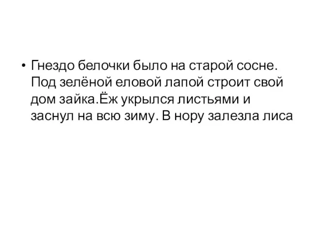 Гнездо белочки было на старой сосне. Под зелёной еловой лапой строит свой