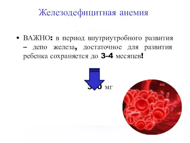 Железодефицитная анемия ВАЖНО: в период внутриутробного развития – депо железа, достаточное для
