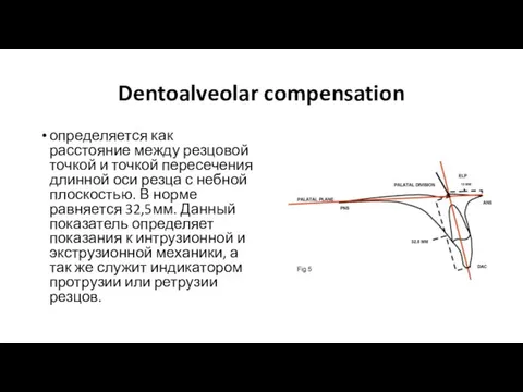 Dentoalveolar compensation определяется как расстояние между резцовой точкой и точкой пересечения длинной